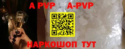 эйфоретик Гай