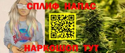 Альфа ПВП Гатчина