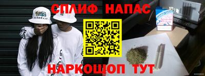 Альфа ПВП Гатчина
