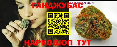 Альфа ПВП Гатчина