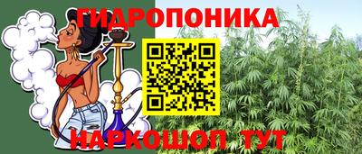 эйфоретик Гай