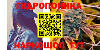 индика Гагарин