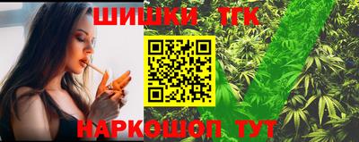 Альфа ПВП Гатчина