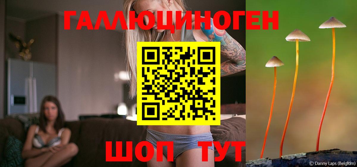Псилоцибиновые грибы ЛСД Городец