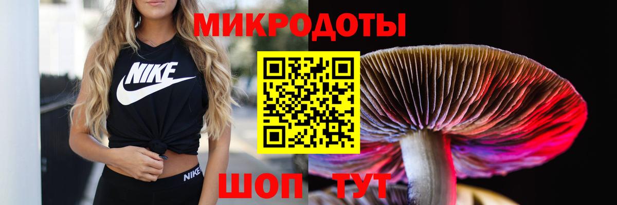 Псилоцибиновые грибы мухоморы  Вход с VPN  Галлюциногенные грибы MAGIC MUSHROOMS  Городец 